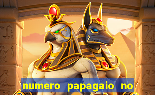 numero papagaio no jogo do bicho